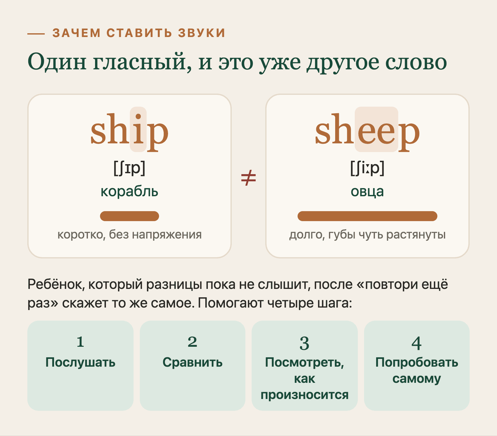 Ship [ʃɪp] и sheep [ʃiːp]: короткий и долгий гласный различают слова, а помогают услышать разницу четыре шага