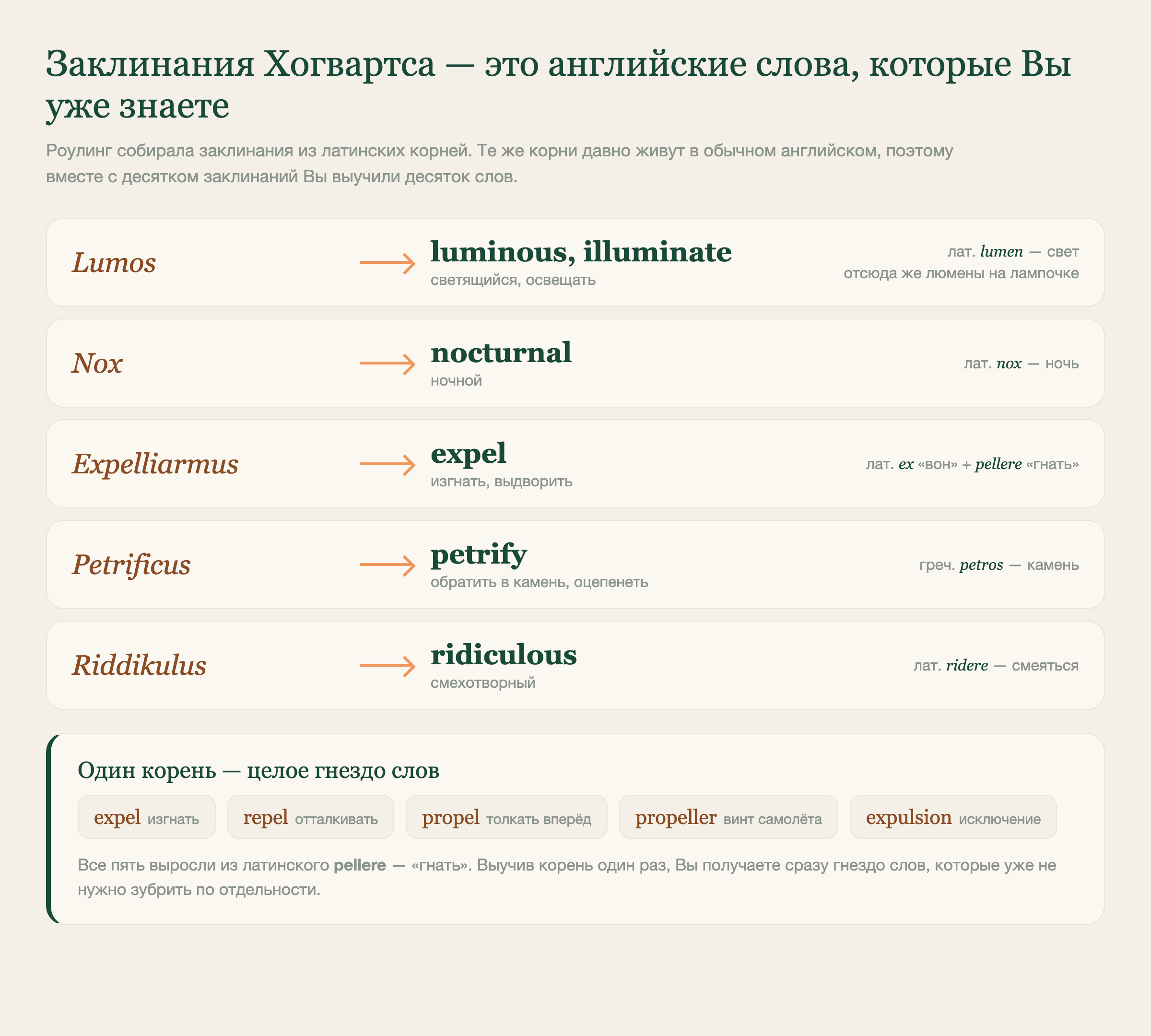 Заклинания Хогвартса и английские слова, которые из этих же корней