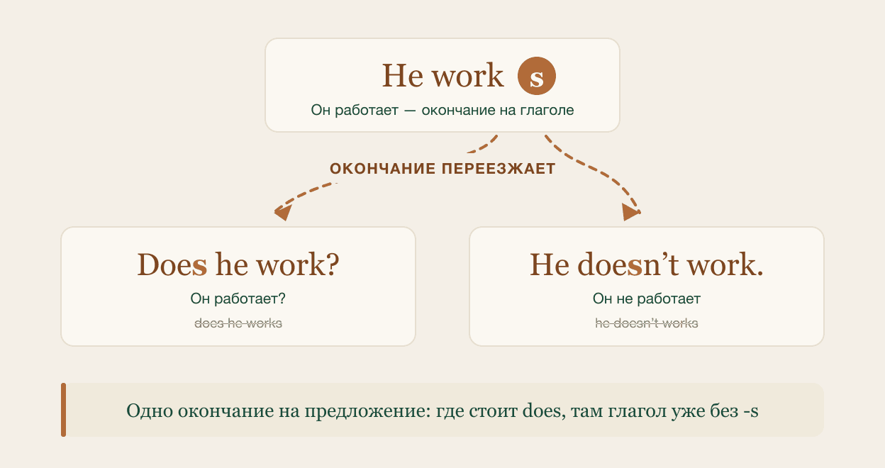 Одно -s на предложение: появился does — окончание уехало к нему, а смысловой глагол остался без окончания